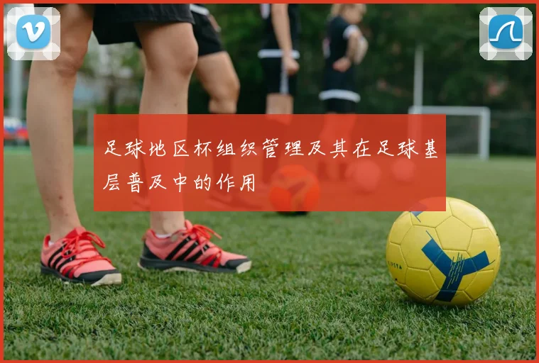 足球地区杯组织管理及其在足球基层普及中的作用