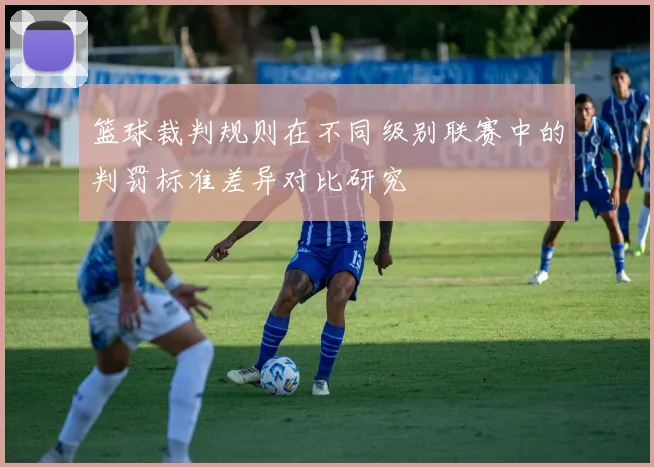 篮球裁判规则在不同级别联赛中的判罚标准差异对比研究