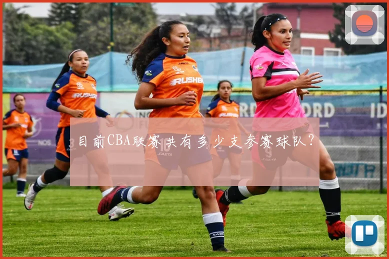 目前CBA联赛共有多少支参赛球队？