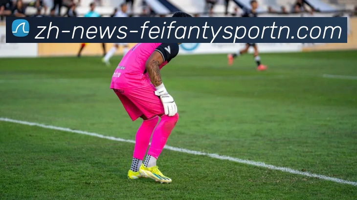 非凡体育平台生态图